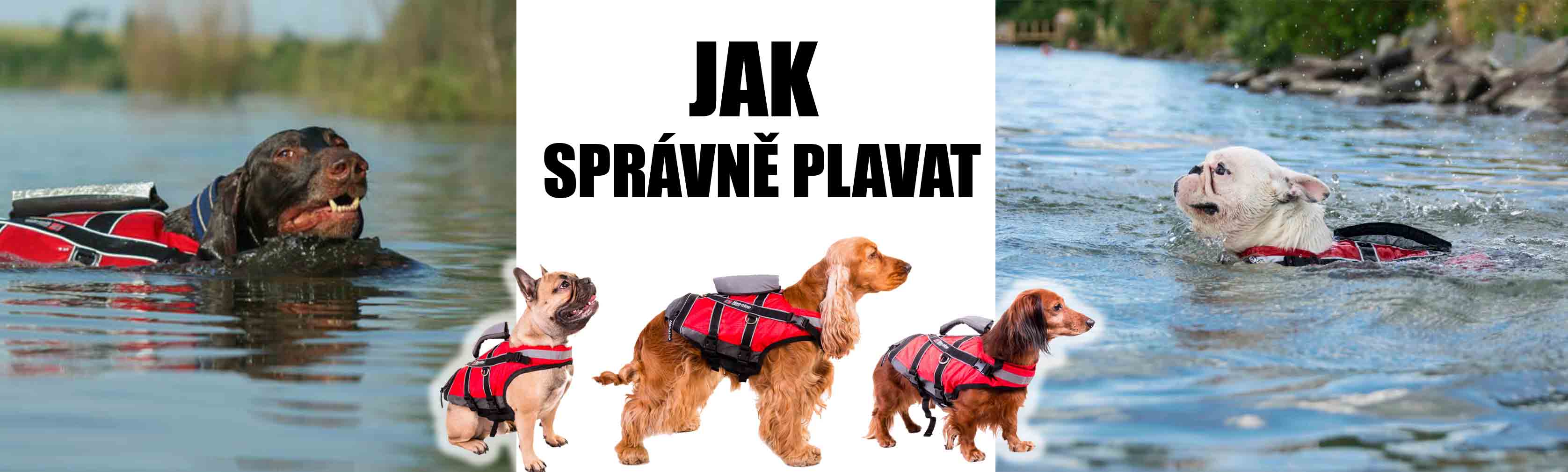 Plavecká sezóna v plném proudu!